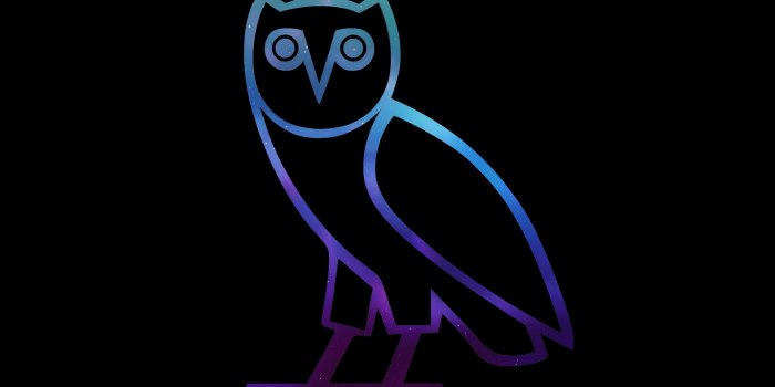 2880x1800 69+ Ovo Owl Wallpapers on WallpaperPlay
