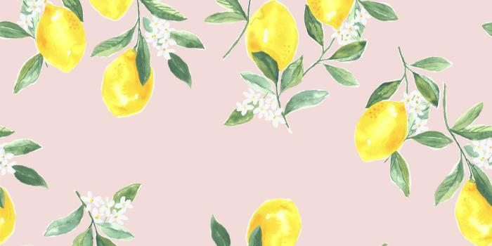 1600x1600 Fresh Squeezed Wallpaper in Blush | Brooke & Lou