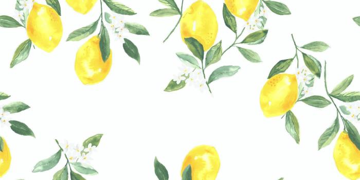 1600x1600 Fresh Squeezed Wallpaper in White | Brooke & Lou