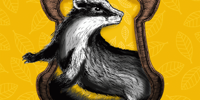 1200x1200 Hogwarts houses: Hufflepuff - Pottermore