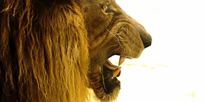 2560x1600 Best 39+ Terrible Wallpapers on HipWallpaper | Terrible Wallpapers