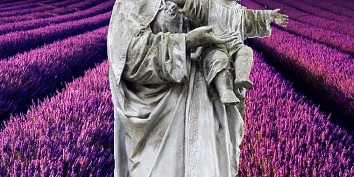 750x1334 Free Wallpapers from Rugged Rosaries Rugged Rosaries®