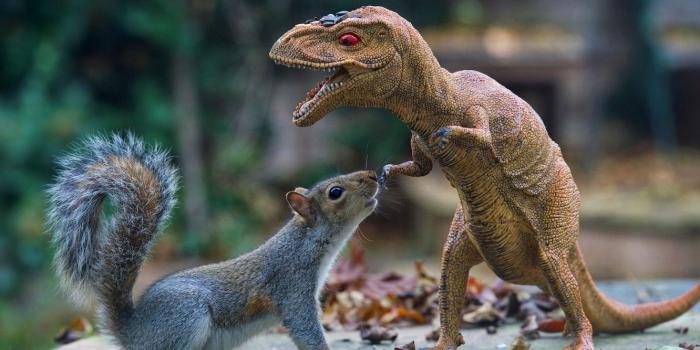 1332x850 Wallpaper look, face, leaves, nature, pose, background, toy