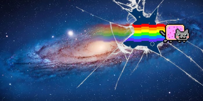 1920x1200 78+ Space Cat Wallpapers on WallpaperPlay