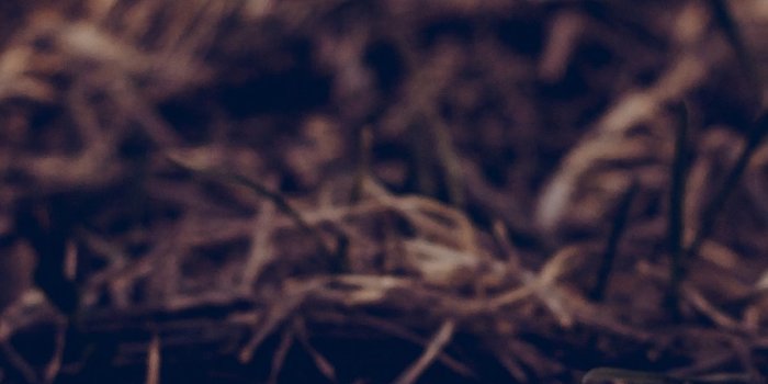 1242x2208 32k Resolution Wallpaper - (36+) Wallpaper Collections