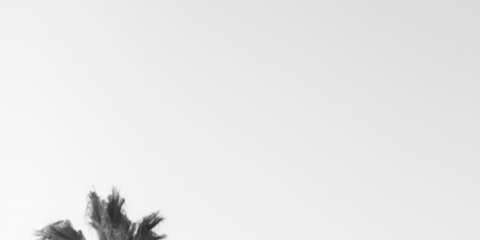 744x1392 65+ Simple iPhone Wallpapers - Download at WallpaperBro