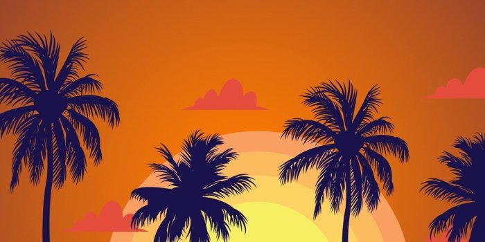 1299x2813 Simple Minimalistic Wallpapers - Best Phone Backgrounds No Distractions