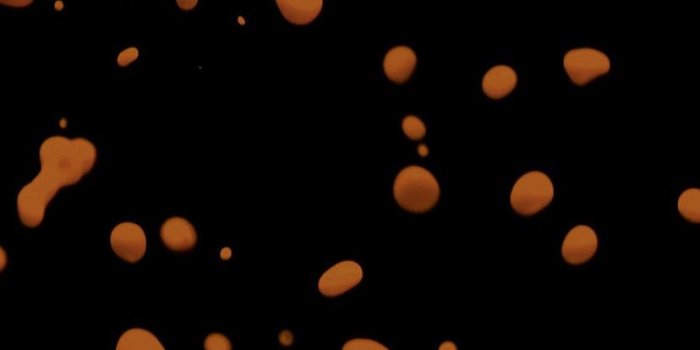 828x1792 iPhone XR Wallpaper Drops Dark Orange Watter Minimal Simple Hazy