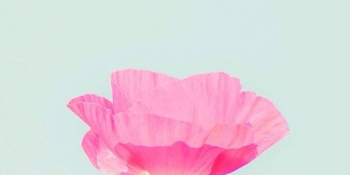 699x1307 1000+ Ideas About Simple Iphone Wallpaper On Pinterest inside