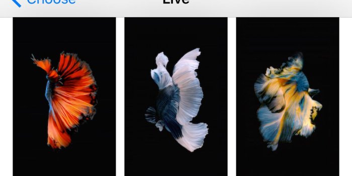 1242x774 Guide: make custom live wallpapers for your lock screen and home