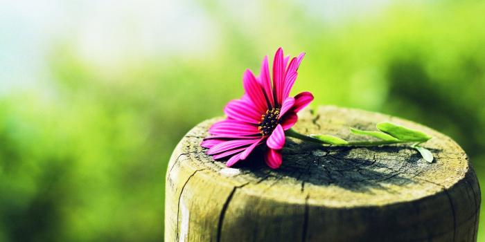 1920x1080 Best Photography Wallpapers