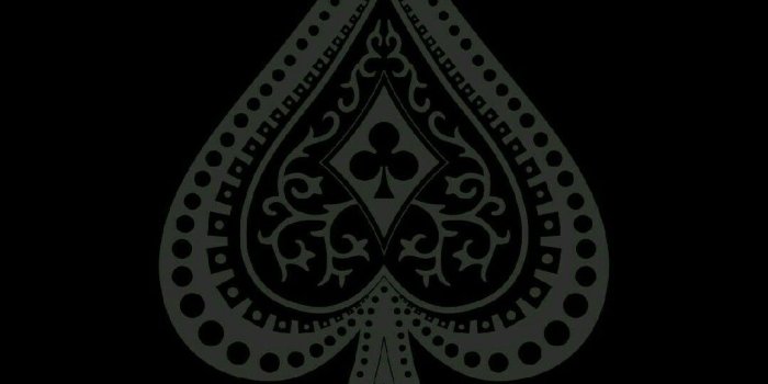 1080x1920 Calli Sheriff on *For the Animal Print Obsessed...RAWRRR