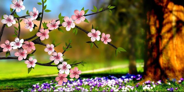 1584x900 50 Beautiful Flower Wallpaper Images For Download