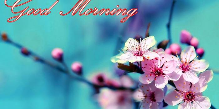 1440x900 Latest Good Morning Images Wallpaper Photo Pics HD Download For