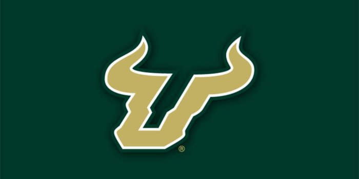 1024x768 Best 49+ South Florida Bulls Wallpaper on HipWallpaper | South Asian