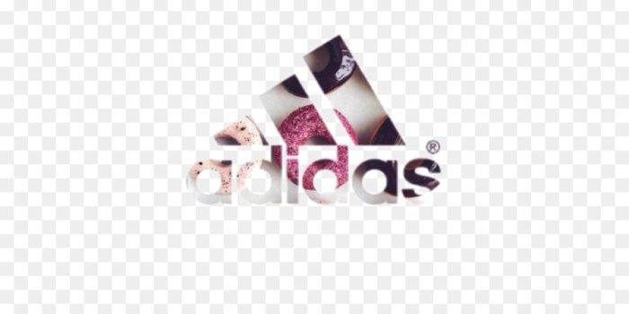 900x1020 Logo Nike png download - 564*1001 - Free Transparent Adidas png