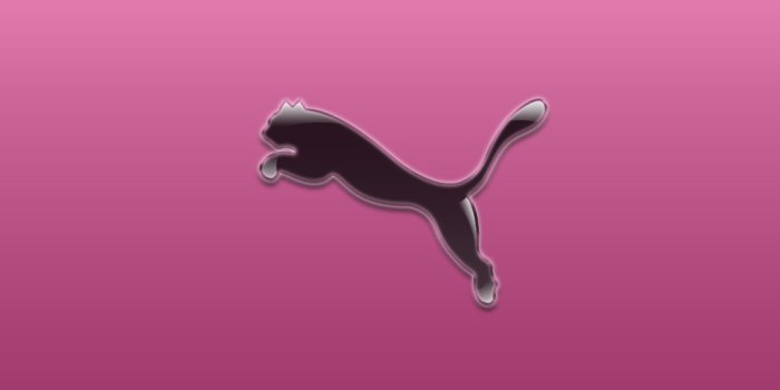 1024x768 Pink Puma Logo Wallpaper High Definition 47999 #9056 Wallpaper