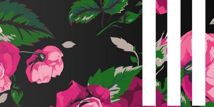 1080x1920 iPhone 8 Wallpaper Adidas | 2019 Cute Wallpapers