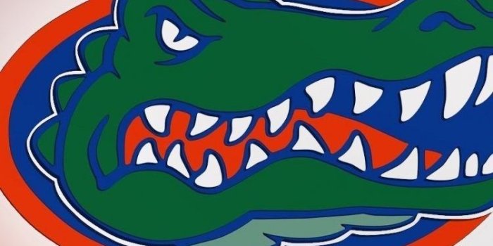 750x1334 Gator iPhone Wallpapers - Top Free Gator iPhone Backgrounds
