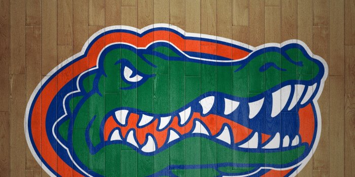 1440x2560 71+ Florida Gator Wallpapers on WallpaperPlay