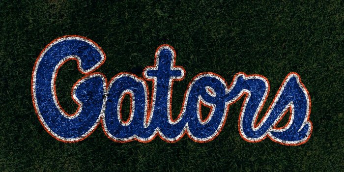1440x2560 Florida Gators Phone Wallpaper (67+ images)