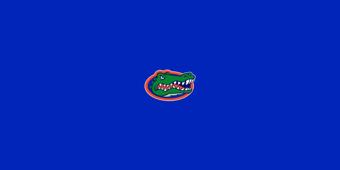 2560x1440 71+ Florida Gator Wallpapers on WallpaperPlay