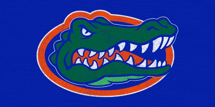 1280x1024 49+] Florida Gators Wallpaper iPhone on WallpaperSafari