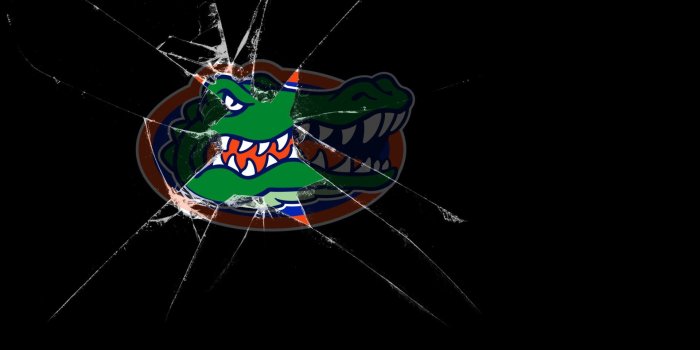 1920x1200 48+] Florida Gator Screensavers and Wallpaper on WallpaperSafari