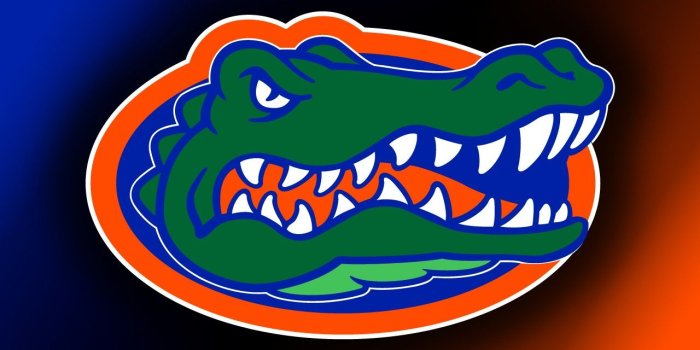 1280x1024 Free Florida Gator Wallpaper | Outdoors that I love | Florida gators