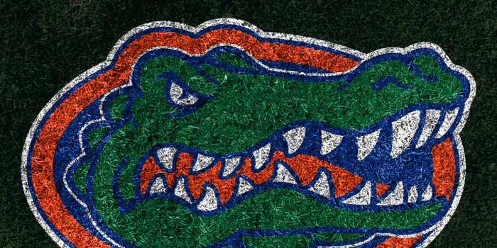 1440x2560 Florida iPhone Wallpapers - Top Free Florida iPhone Backgrounds