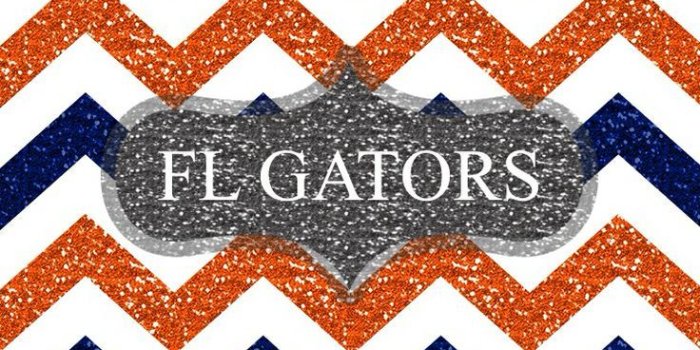 736x1377 49+] Florida Gators Wallpaper iPhone on WallpaperSafari
