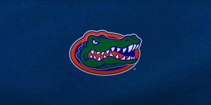 1920x1200 35+ Florida Gators Computer Wallpapers - Download at WallpaperBro