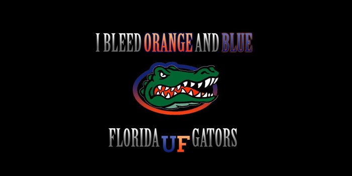 1440x908 Florida Gators Wallpaper HD on MarkInternational.info