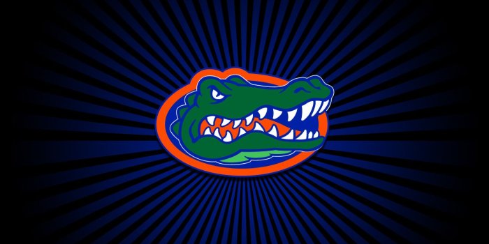 1280x1024 Florida Gators wallpaper | 1280x1024 | #6137