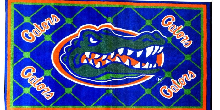 1200x1200 Florida Gators Iphone Wallpaper – Daily Motivational Quotes