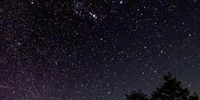 1440x2560 Download wallpaper 1440x2560 starry sky, stars, shine, night, trees