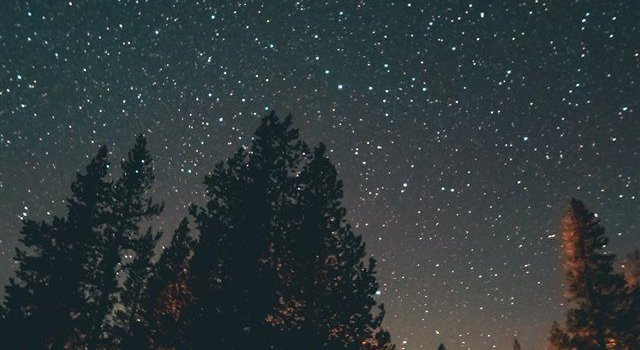 640x1385 nightlight iPhone X wallpaper #night #sky #star #explore | night