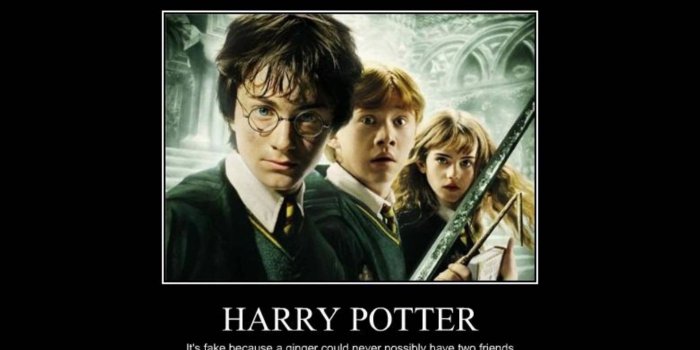 1920x1080 Funny Harry Potter Wallpapers - Top Free Funny Harry Potter