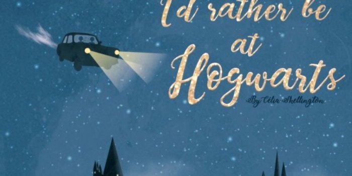 846x1456 Harry Potter Wallpaper | Wallpapers for Fun