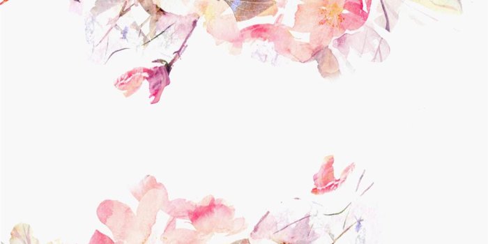 1000x1000 Anewall Spring Floral Modern Classic Bright Pink Floral Wallpaper