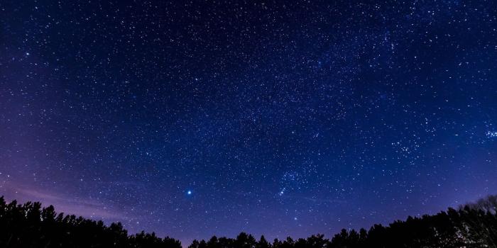 1920x1080 Panoramic Night Sky Stars Forest Wallpaper - Wallpaper Stream