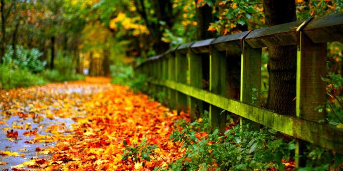 1920x1200 Free 3d Wallpaper For Laptops - Hd Wallpapers Widescreen For Laptops