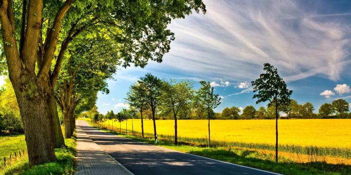 1920x1080 Free Wallpaper For My Laptop Widescreen 621f Colourful 4k Download