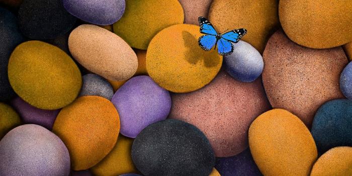 1920x1080 HD Laptop Wallpaper Amazing Images 1080p Widescreen High Quality