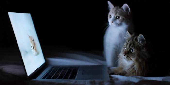 1920x1200 Laptop Wallpapers HD ·① WallpaperTag