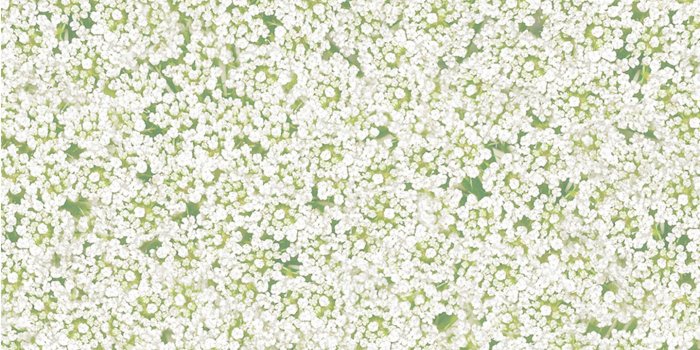 1440x900 Summer 2014: Exclusive Wallpaper | Tory Daily