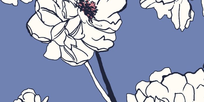 1242x2208 Pink Kate Spade Desktop Wallpapers - Top Free Pink Kate Spade