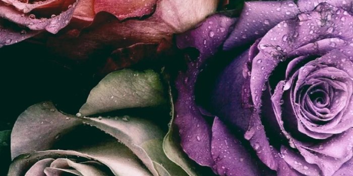 1200x2133 Beautiful tory Burch Desktop Wallpaper | Wallpaper Collections