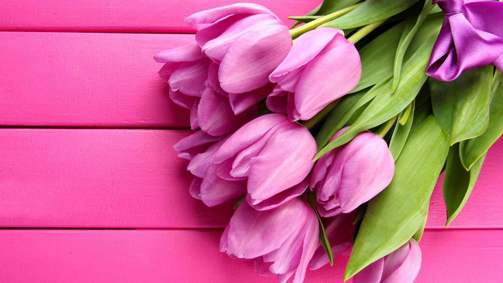 3840x2160 Wallpaper Tulip, 4k, HD wallpaper, spring, flower, pink, Nature #3791