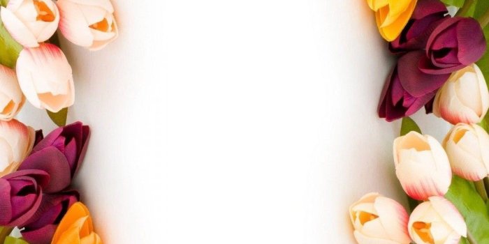 1080x1920 Tulip Flowers Wallpaper iPhone | iPhoneWallpapers | Flower iphone